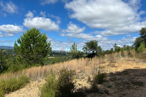Helårsgrund i Tomar, Santarem, Tomar - € 8.000 | Ref: 01217-24 - foto 18