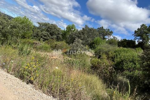 Helårsgrund i Tomar, Santarem, Tomar - € 8.000 | Ref: 01217-24 - foto 19