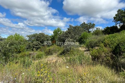 Helårsgrund i Tomar, Santarem, Tomar - € 8.000 | Ref: 01217-24 - foto 20