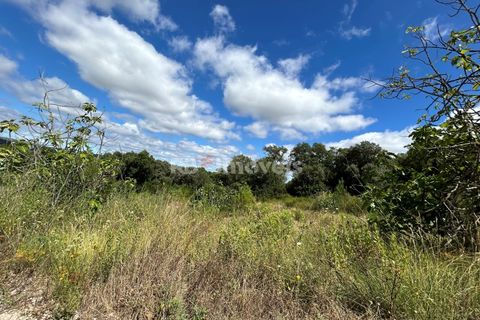 Helårsgrund i Tomar, Santarem, Tomar - € 8.000 | Ref: 01217-24 - foto 21