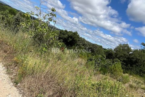 Helårsgrund i Tomar, Santarem, Tomar - € 8.000 | Ref: 01217-24 - foto 22