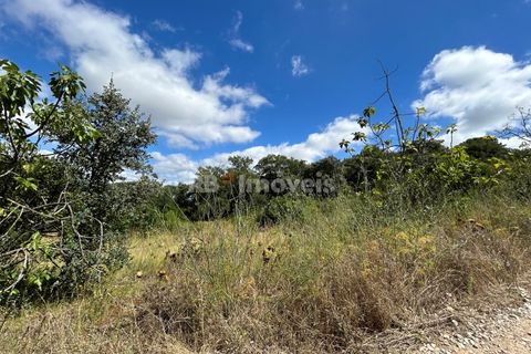 Helårsgrund i Tomar, Santarem, Tomar - € 8.000 | Ref: 01217-24 - foto 23