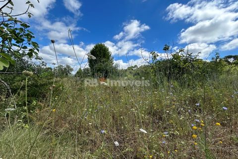 Helårsgrund i Tomar, Santarem, Tomar - € 8.000 | Ref: 01217-24 - foto 24