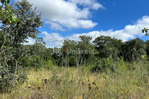 Helårsgrund i Tomar, Santarem, Tomar - € 8.000 | Ref: 01217-24 - foto 25