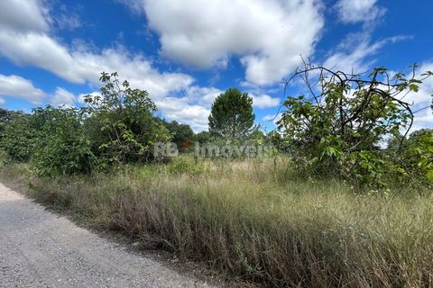 Helårsgrund i Tomar, Santarem, Tomar - € 8.000 | Ref: 01217-24 - foto 26