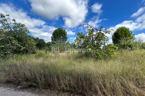 Helårsgrund i Tomar, Santarem, Tomar - € 8.000 | Ref: 01217-24 - foto 27