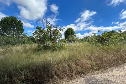 Helårsgrund i Tomar, Santarem, Tomar - € 8.000 | Ref: 01217-24 - foto 2