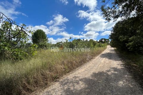 Helårsgrund i Tomar, Santarem, Tomar - € 8.000 | Ref: 01217-24 - foto 28