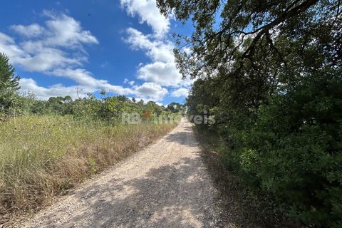 Helårsgrund i Tomar, Santarem, Tomar - € 8.000 | Ref: 01217-24 - foto 29