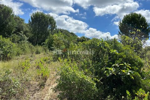 Helårsgrund i Tomar, Santarem, Tomar - € 8.000 | Ref: 01217-24 - foto 31