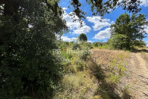 Helårsgrund i Tomar, Santarem, Tomar - € 8.000 | Ref: 01217-24 - foto 33