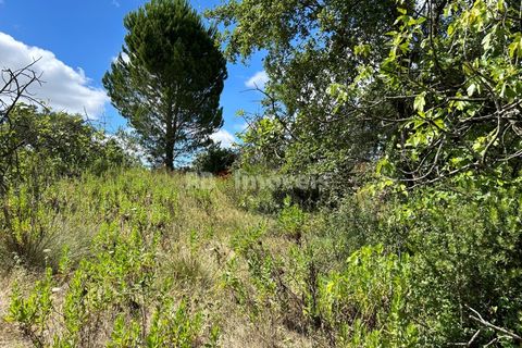 Helårsgrund i Tomar, Santarem, Tomar - € 8.000 | Ref: 01217-24 - foto 34