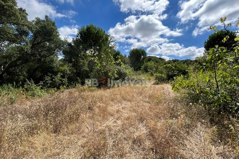 Helårsgrund i Tomar, Santarem, Tomar - € 8.000 | Ref: 01217-24 - foto 36