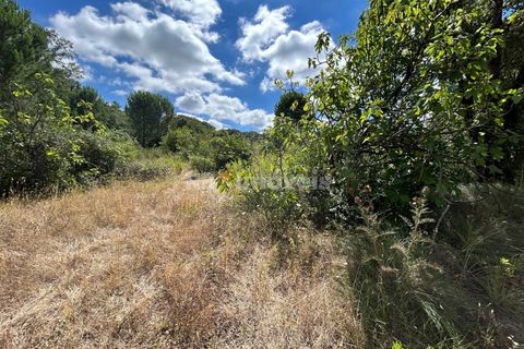 Helårsgrund i Tomar, Santarem, Tomar - € 8.000 | Ref: 01217-24 - foto 37