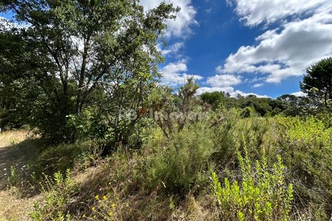 Helårsgrund i Tomar, Santarem, Tomar - € 8.000 | Ref: 01217-24 - foto 38