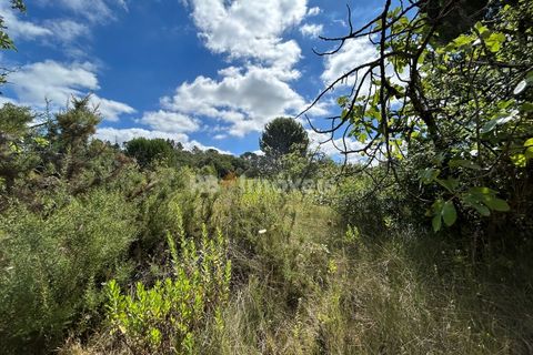 Helårsgrund i Tomar, Santarem, Tomar - € 8.000 | Ref: 01217-24 - foto 39