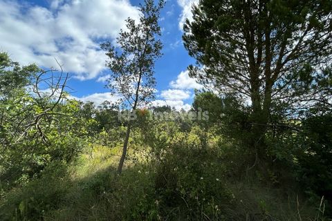 Helårsgrund i Tomar, Santarem, Tomar - € 8.000 | Ref: 01217-24 - foto 40
