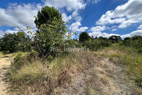 Helårsgrund i Tomar, Santarem, Tomar - € 8.000 | Ref: 01217-24 - foto 42