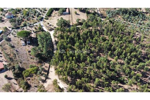 Helårsgrund i Tomar, Santarem, Tomar - € 36.000 | Ref: 01271-24 - foto 4