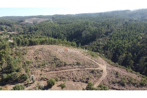 Helårsgrund i Tomar, Santarem, Tomar - € 30.000 | Ref: 01272-24 - foto 5
