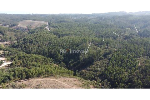 Helårsgrund i Tomar, Santarem, Tomar - € 30.000 | Ref: 01272-24 - foto 7