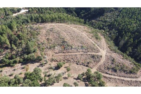 Helårsgrund i Tomar, Santarem, Tomar - € 30.000 | Ref: 01272-24 - foto 4