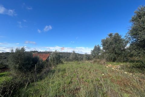 Helårsgrund i Tomar, Santarem, Tomar - € 25.000 | Ref: 01331-24 - foto 1