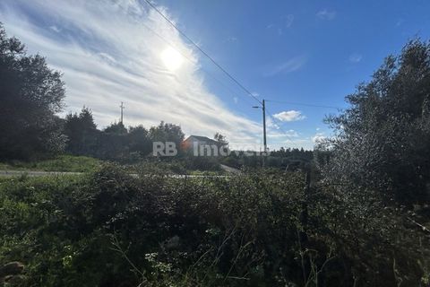 Helårsgrund i Tomar, Santarem, Tomar - € 25.000 | Ref: 01331-24 - foto 8
