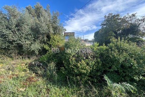 Helårsgrund i Tomar, Santarem, Tomar - € 25.000 | Ref: 01331-24 - foto 4