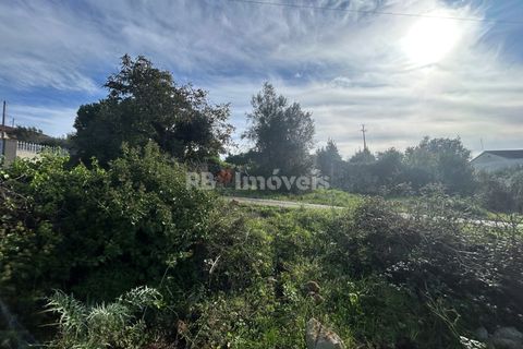 Helårsgrund i Tomar, Santarem, Tomar - € 25.000 | Ref: 01331-24 - foto 9