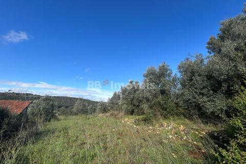 Helårsgrund i Tomar, Santarem, Tomar - € 25.000 | Ref: 01331-24 - foto 6