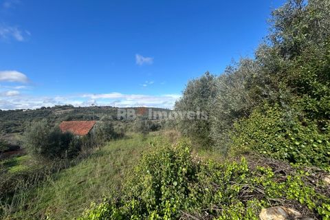 Helårsgrund i Tomar, Santarem, Tomar - € 25.000 | Ref: 01331-24 - foto 7