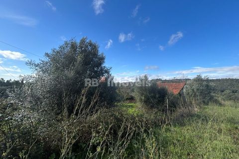Helårsgrund i Tomar, Santarem, Tomar - € 25.000 | Ref: 01331-24 - foto 5