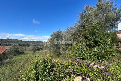 Helårsgrund i Tomar, Santarem, Tomar - € 25.000 | Ref: 01331-24 - foto 10