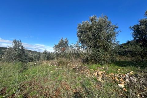 Helårsgrund i Tomar, Santarem, Tomar - € 25.000 | Ref: 01331-24 - foto 11