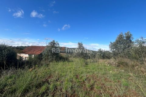 Helårsgrund i Tomar, Santarem, Tomar - € 25.000 | Ref: 01331-24 - foto 12