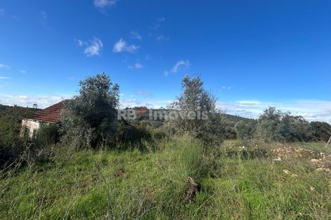 Helårsgrund i Tomar, Santarem, Tomar - € 25.000 | Ref: 01331-24 - foto 13