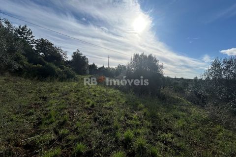 Helårsgrund i Tomar, Santarem, Tomar - € 25.000 | Ref: 01331-24 - foto 14