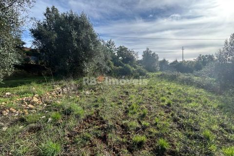 Helårsgrund i Tomar, Santarem, Tomar - € 25.000 | Ref: 01331-24 - foto 15