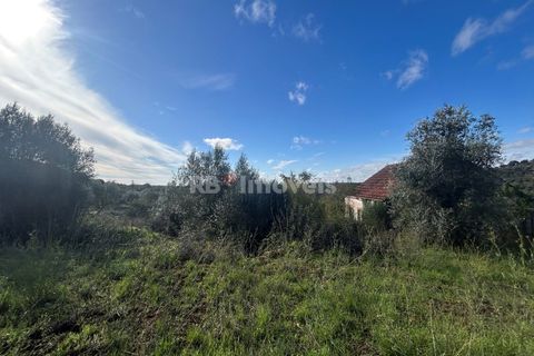 Helårsgrund i Tomar, Santarem, Tomar - € 25.000 | Ref: 01331-24 - foto 17