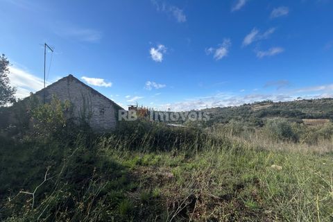Helårsgrund i Tomar, Santarem, Tomar - € 25.000 | Ref: 01331-24 - foto 18