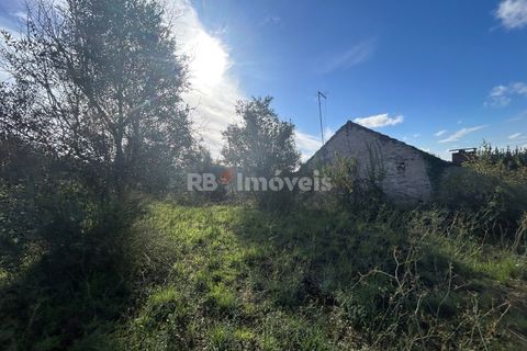 Helårsgrund i Tomar, Santarem, Tomar - € 25.000 | Ref: 01331-24 - foto 19