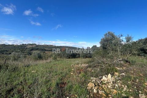 Helårsgrund i Tomar, Santarem, Tomar - € 25.000 | Ref: 01331-24 - foto 20