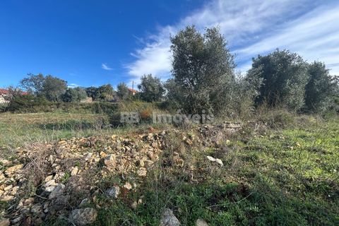 Helårsgrund i Tomar, Santarem, Tomar - € 25.000 | Ref: 01331-24 - foto 21