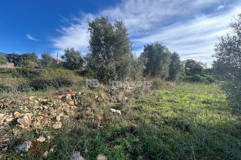 Helårsgrund i Tomar, Santarem, Tomar - € 25.000 | Ref: 01331-24 - foto 22