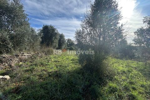 Helårsgrund i Tomar, Santarem, Tomar - € 25.000 | Ref: 01331-24 - foto 23
