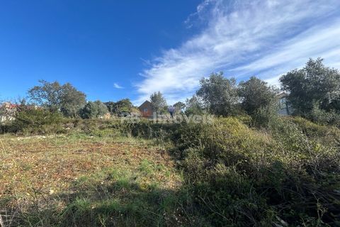 Helårsgrund i Tomar, Santarem, Tomar - € 25.000 | Ref: 01331-24 - foto 24