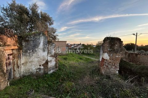 Ruin i Tomar, Santarem, Tomar - € 40 000 | Ref: 01356-24 - foto 6