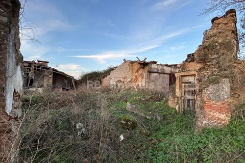 Ruin i Tomar, Santarem, Tomar - € 40 000 | Ref: 01356-24 - foto 19