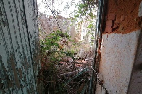 Ruin i Tomar, Santarem, Tomar - € 40 000 | Ref: 01356-24 - foto 27